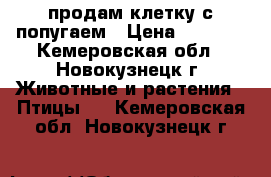 продам клетку с попугаем › Цена ­ 3 000 - Кемеровская обл., Новокузнецк г. Животные и растения » Птицы   . Кемеровская обл.,Новокузнецк г.